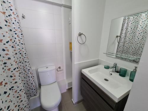 W łazience znajduje się toaleta, umywalka i lustro. w obiekcie Comodo y acogedor departamento w mieście Puerto Montt