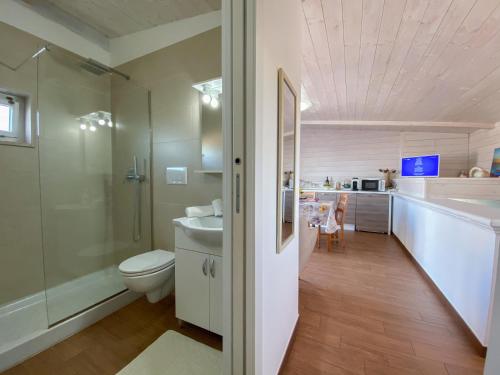 a bathroom with a shower and a toilet and a sink at Villa Barnaba Country House & Pool in Polignano a Mare