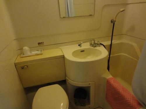 Koupelna v ubytování Hotel Sankyu