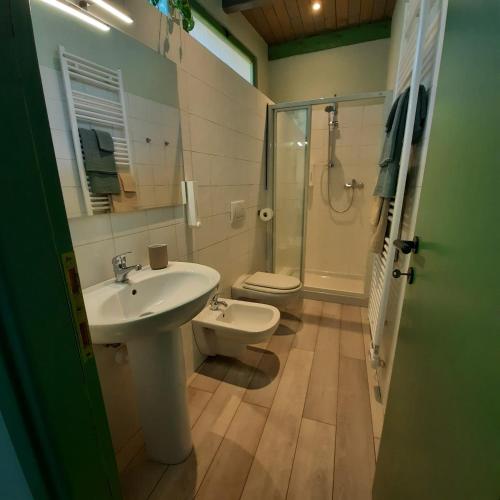 ein Bad mit einem Waschbecken, einem WC und einer Dusche in der Unterkunft Il Sole di Simona - Il Prato in Omegna