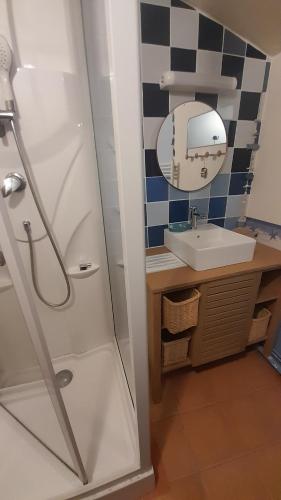 ein Bad mit einer Dusche und einem Waschbecken in der Unterkunft Gite du figuier in Beaugeay