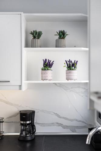 a kitchen with white shelves with potted plants on them at Casa Aelia ,Stelida Naxos in Stelida