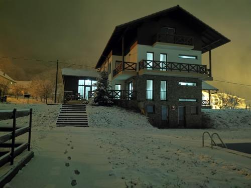 una casa en la cima de una colina en la nieve en Pensiunea La Nenea Iancu, en Pianu de Sus