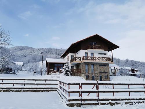 een gebouw bedekt met sneeuw met een hek ervoor bij Pensiunea La Nenea Iancu in Pianu de Sus