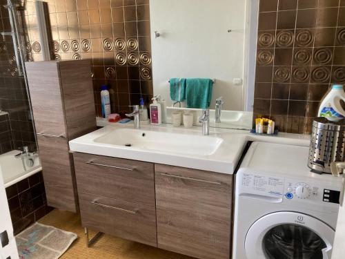 une salle de bain avec un lavabo et une machine à laver dans l'établissement Grand studio vue mer à Marina Baie des Anges, à Villeneuve-Loubet