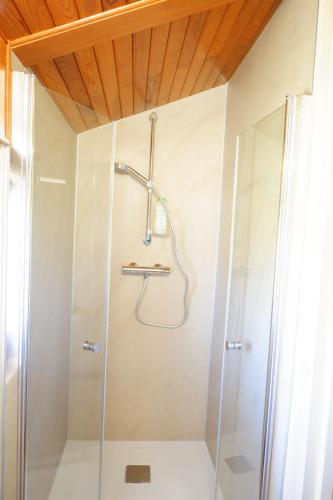 een douche met een glazen deur in de badkamer bij Petit chalet de montagne avec espace extérieur in Labaroche