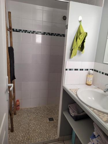 une salle de bain avec douche et lavabo dans l'établissement Gîte La Campeloise, à Villiers-en-Plaine