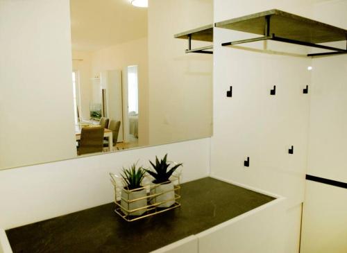 un baño con espejo y una planta en una encimera en Camino Split - apartment near Mall of Split, en Split