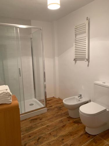 a bathroom with a shower and a toilet and a sink at La Toscana en Lozoya in Alameda del Valle