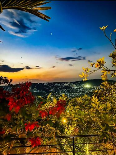 a view of the ocean at sunset with flowers at High Ground Villa Ltd in Kigali