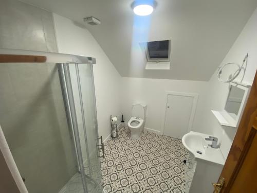 a white bathroom with a toilet and a sink at Harry’s place in Mullingar