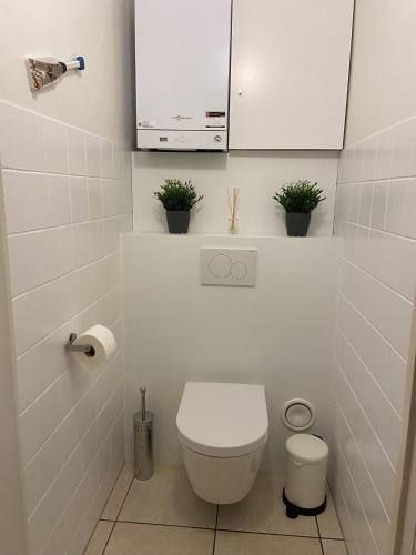 a bathroom with a toilet and a cabinet and plants at WeLoveOostende - Newly renovated large apartment 150m from the beach - Including bed sheets and final clea-ning in Ostend