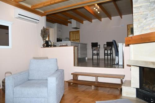 uma sala de estar com uma cadeira e uma lareira em Villa Ella Tvrdos em Trebinje