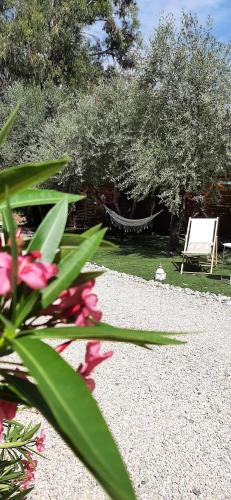 La Villa Jasmin – Photos 2