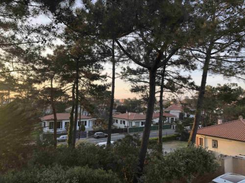 Photo de la galerie de l'établissement Capbreton plage Santocha Villa 9 personnes, à Capbreton