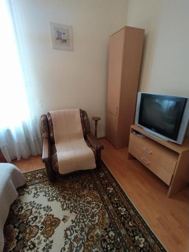 a living room with a chair and a television at Lviv Rest Zelena in Lviv