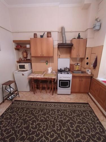 a small kitchen with a table and a stove at Lviv Rest Zelena in Lviv