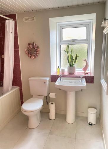 a bathroom with a toilet and a sink and a window at Wee Silverburn in Whiting Bay