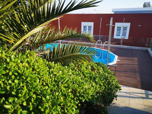 a swimming pool with a palm tree next to a building at Family Surf Home - Bungalow 4 in Santo Isidoro