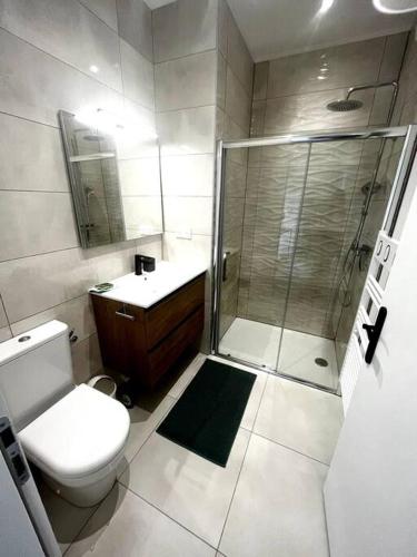 une salle de bain avec une douche, des toilettes et un lavabo dans l'établissement Appartement spacieux & lumineux, à Lieuran-lès-Béziers