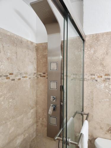 y baño con ducha y puerta de cristal. en Alejandra, en San Juan