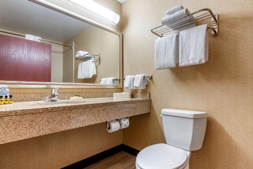 y baño con aseo, lavabo y espejo. en Best Western PLUS Victor Inn & Suites, en Victor