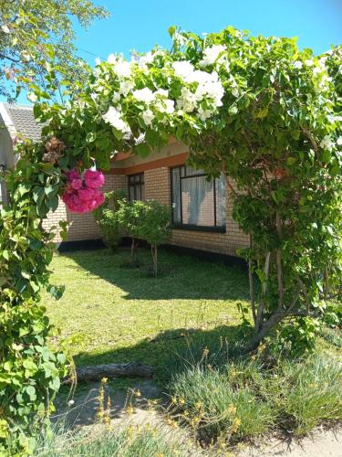 a garden with a tree with flowers in front of a house at Ledoba Bed & Breakfast in Molalatau