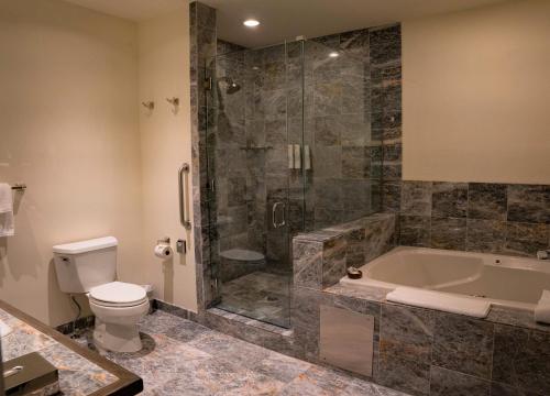 a bathroom with a tub and a toilet and a shower at Knob Hill Inn in Ketchum