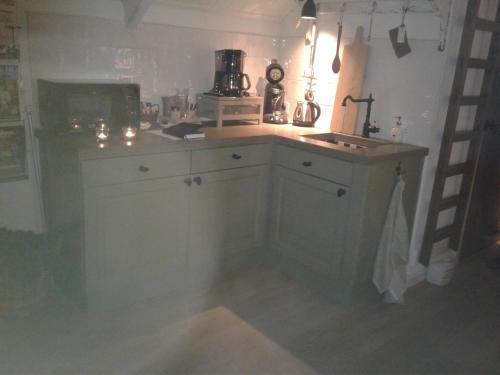 a kitchen with a sink and a counter top at B&B de Linge in Gellicum