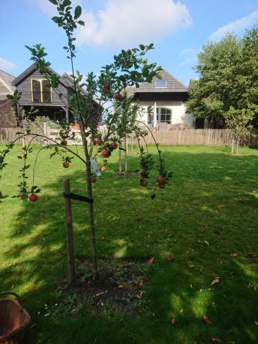 uma macieira no quintal de uma casa em B&B de Linge em Gellicum