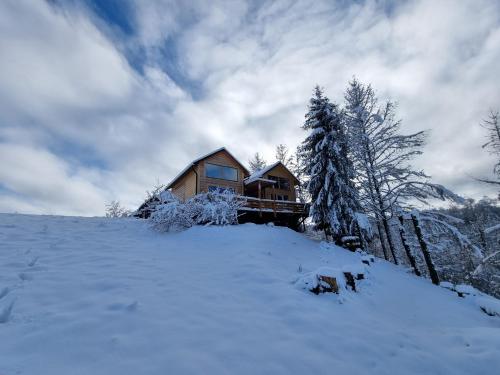 a log cabin on a snow covered hill with trees at Bieszczadzki Zagajnik in Lesko