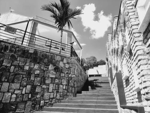 a staircase with a stone wall and a palm tree at High Ground Villa Ltd in Kigali