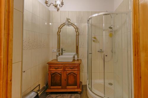 ein Bad mit einem Waschbecken und einer Dusche in der Unterkunft Illo Tempore - Ultracentral Apartment in Sighişoara