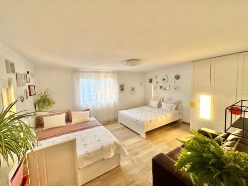 a large room with a bed and a couch at Villa Eliza in Denia