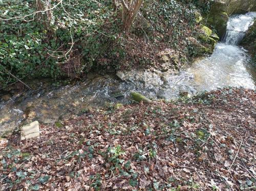 a stream of water with leaves on the ground at Chez Julien et Mélanie in Bosmis l'Aiguille