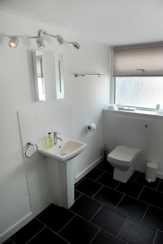 a white bathroom with a sink and a toilet at Ty Helyg Guest House in Brecon