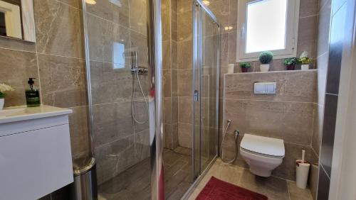 a bathroom with a shower with a toilet and a sink at TOP DESTINATION-HAMMAMET-COZY in Hammamet