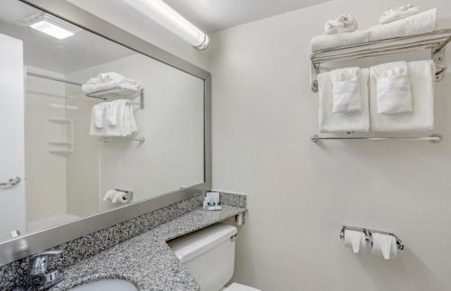 Koupelna v ubytování Quality Inn Enola - Harrisburg