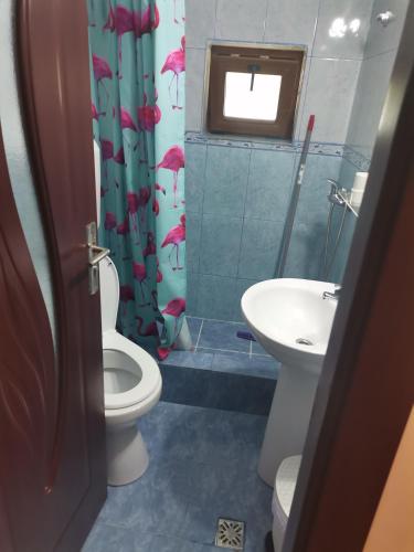 a bathroom with a toilet and a sink at Casa evelin 2mai in 2 Mai