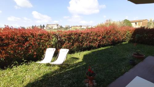 two white chairs in a garden with red bushes at Giardino del sole, con Wi-Fi, smart TV, aria condizionata in Borgo a Buggiano