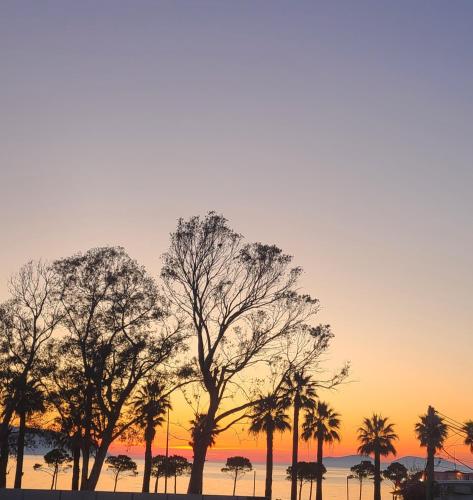 a group of palm trees with a sunset in the background at Hotel Noel in Vlorë