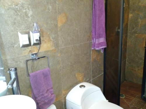 a bathroom with a toilet and a purple towel at Ocean Pacific appartment in Acapulco