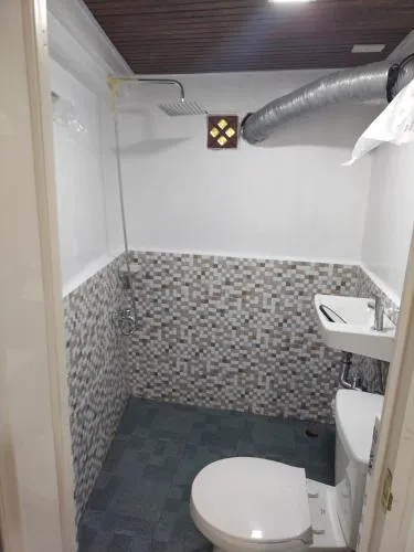 Tiny House Loft Style