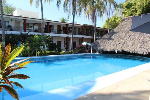 Hồ bơi trong/gần Hotel Albatros