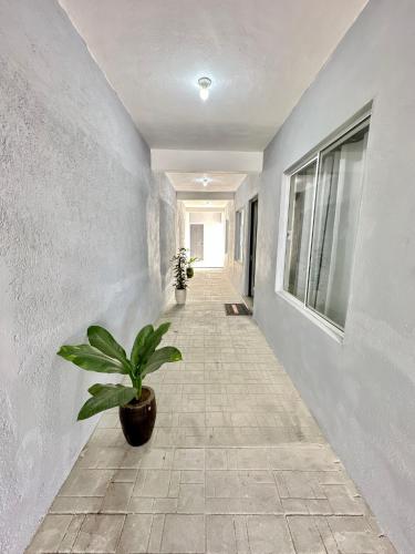 Fotografie z fotogalerie ubytování Departamentos Mayai & Yahelik v destinaci Cabo San Lucas