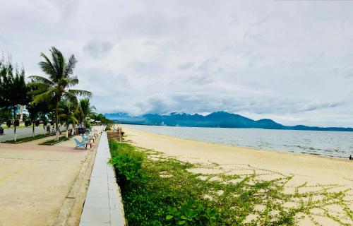 a beach with a palm tree and the ocean at DANA BEACH Motel in Danang