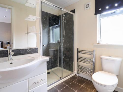 a bathroom with a shower and a toilet and a sink at Oak Lodge in Hadnall