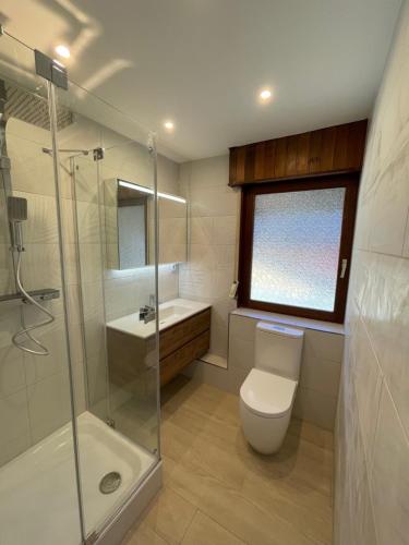 a bathroom with a toilet and a shower and a sink at Haus Balke in Hatzfeld