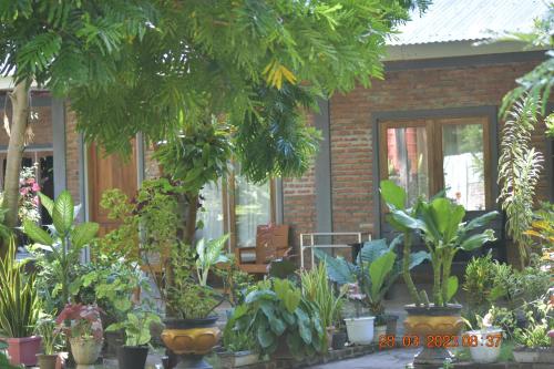 Gallery image of Del Mar Home Stay in Ria