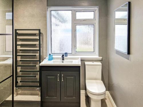 a bathroom with a sink and a toilet and a window at Gullsway in Glencaple